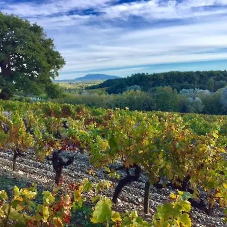 Le Clos De La Tuiliere *