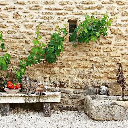 Le Clos De La Tuiliere Guest house Grignan
