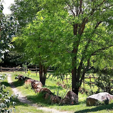 Le Clos De La Tuilière Grignan